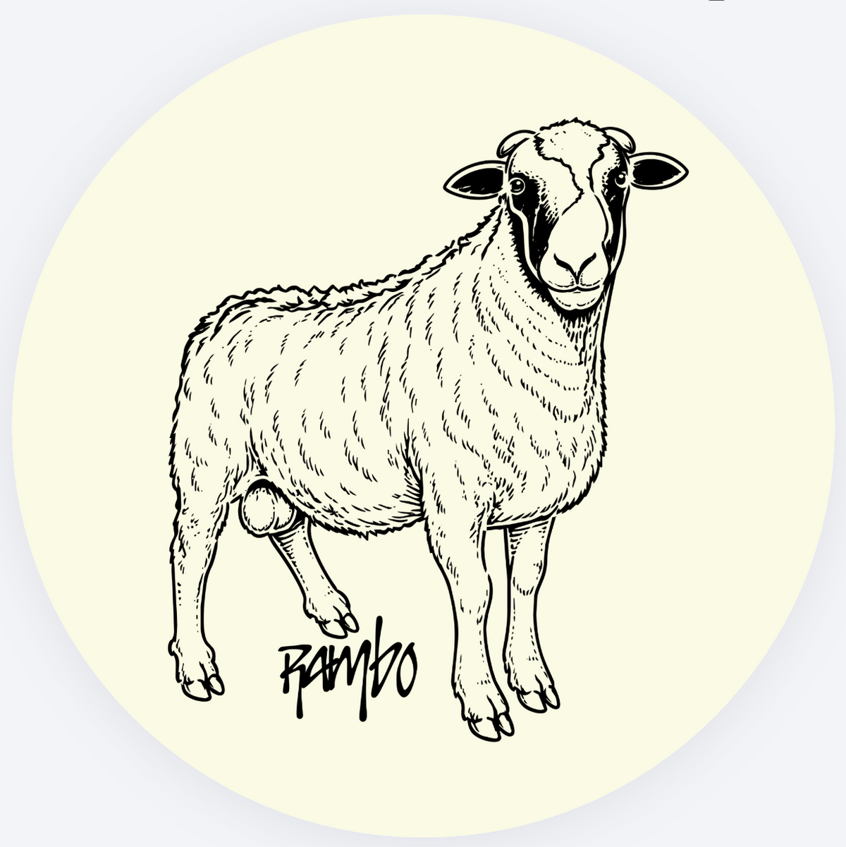 Stickers–4 Pack