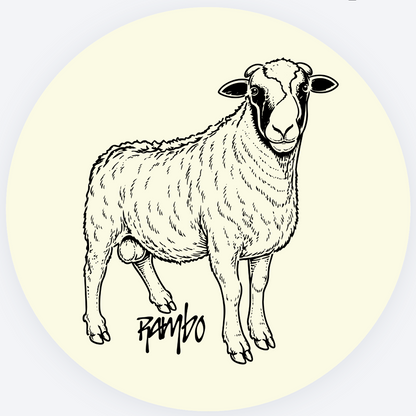 Stickers–4 Pack